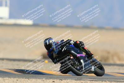 media/Jan-14-2024-SoCal Trackdays (Sun) [[2e55ec21a6]]/Turn 4 Tree of Life (155pm)/